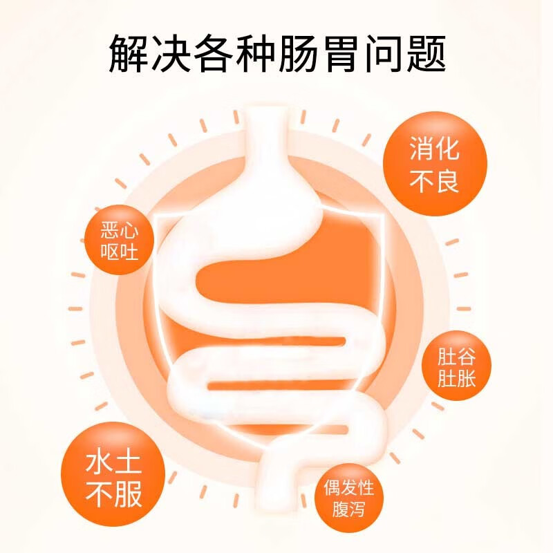 大幸药品 小喇叭 正露丸 100粒