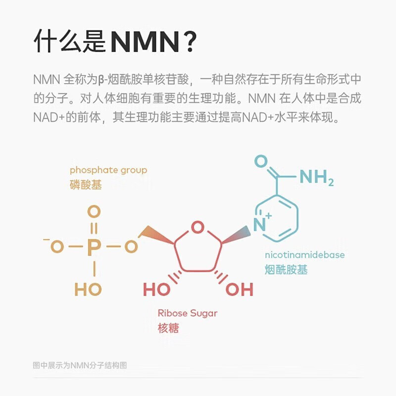 特价明治制药 NMN 3000mg 60粒