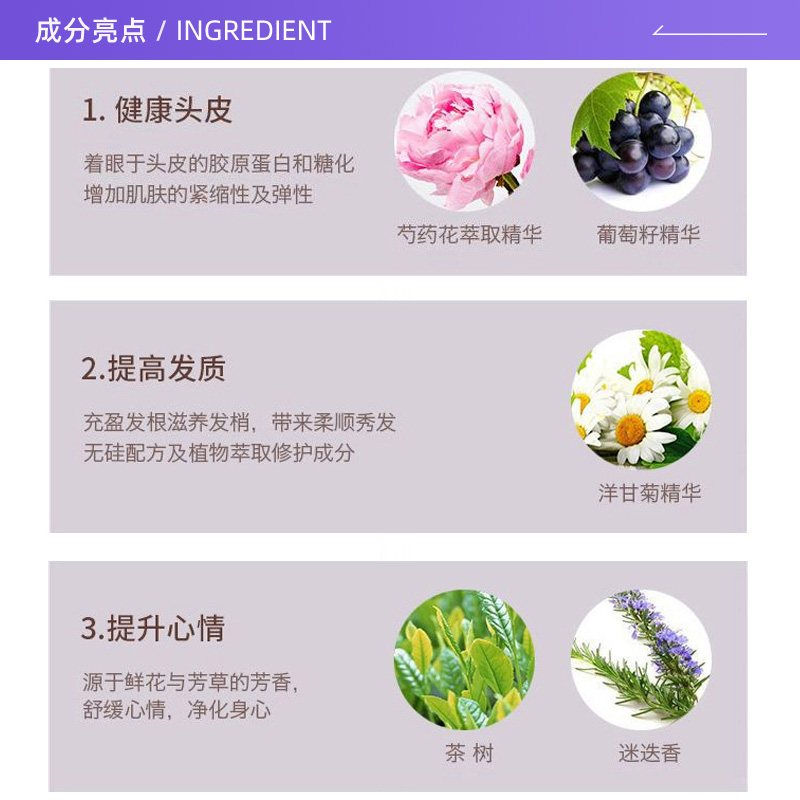 POLA 宝丽 馥美护发素540g深层修护柔顺滋养（清爽充盈型）